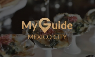 my guide mexico city reseña harrys
