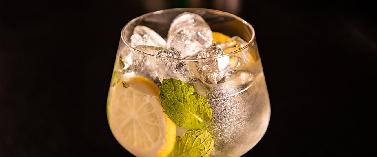 Bebida Gin Tonic