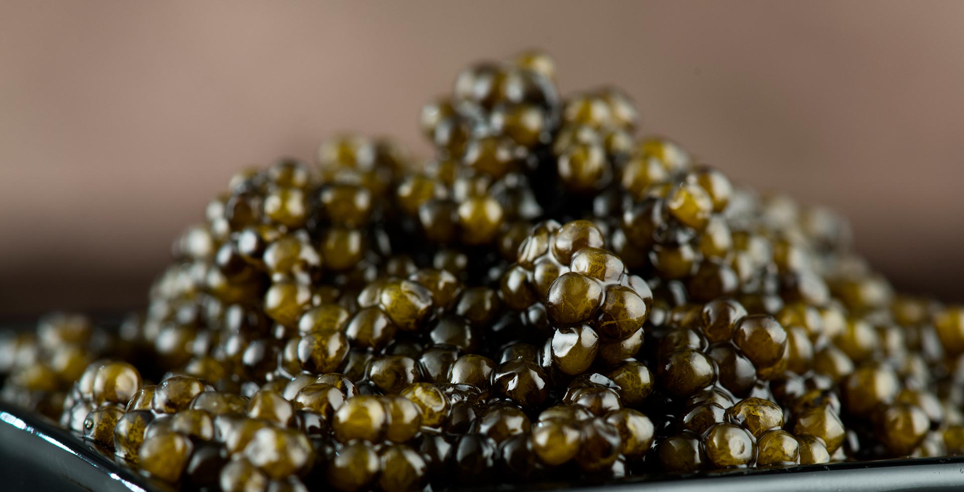 Caviar Negro