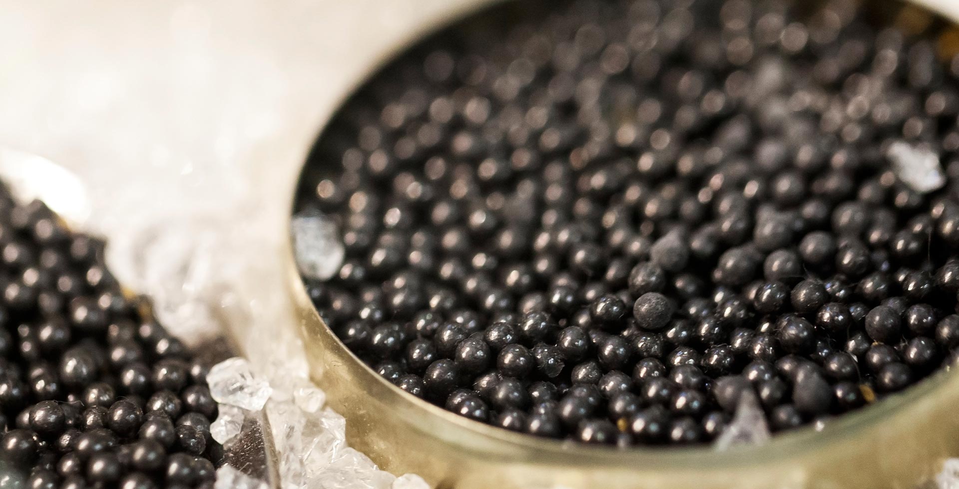 Caviar Beluga En México